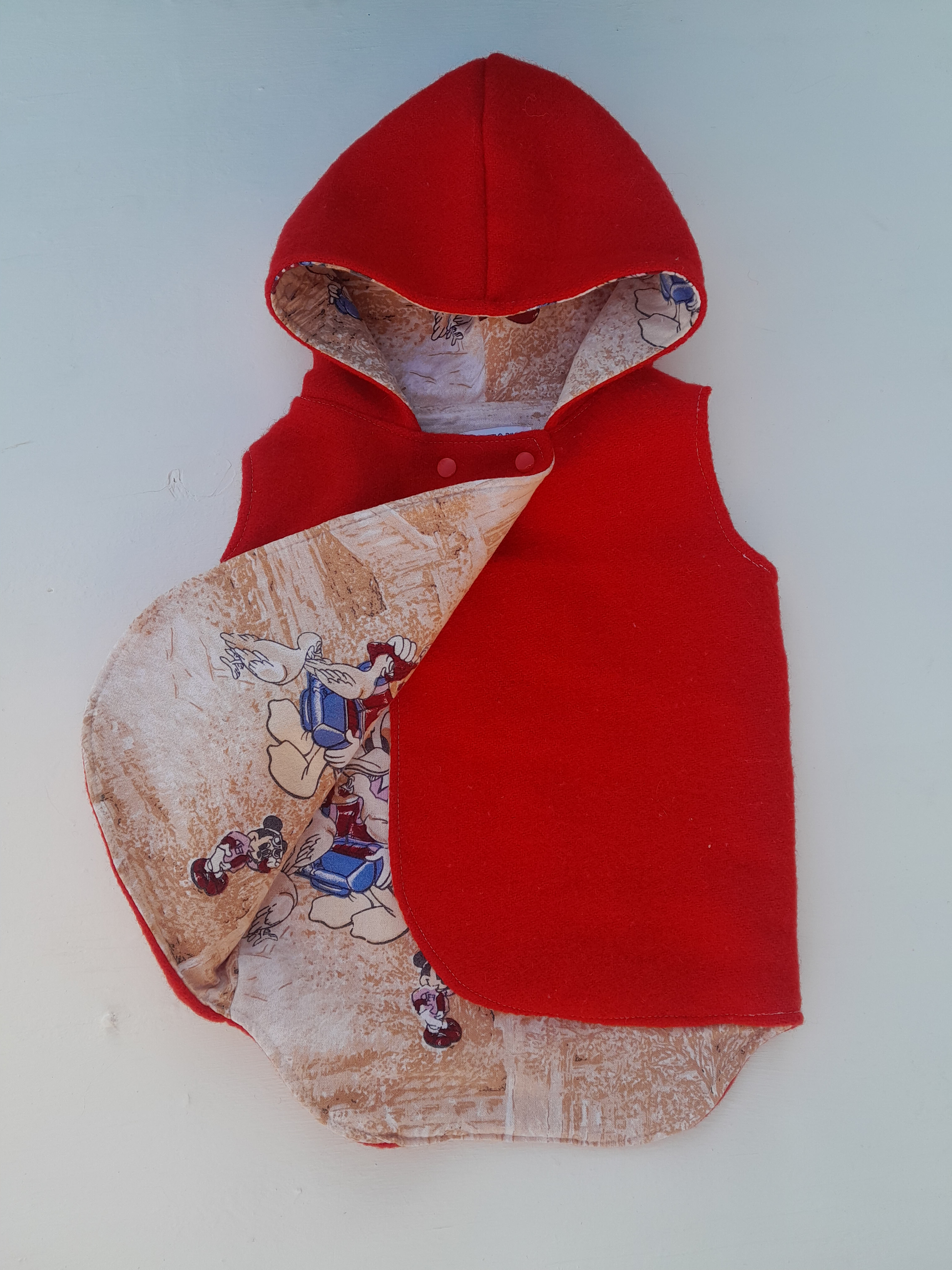 Reversible Pixie Vest image 0